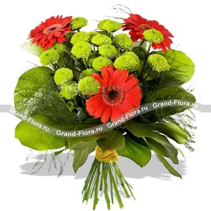 Остров везения Остров везения